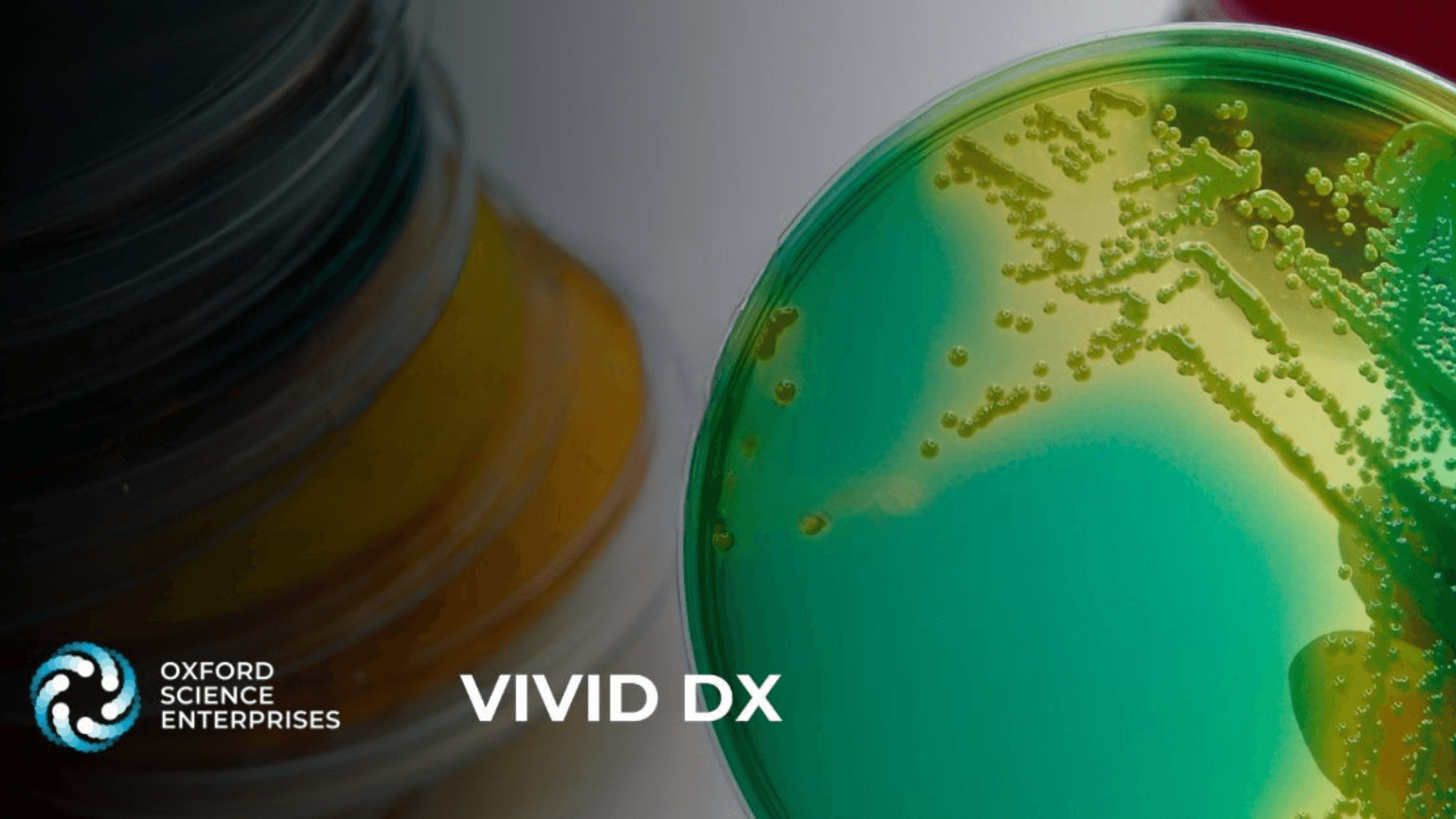 Vivid Dx raises $15M to advance rapid blood-based infection diagnostics