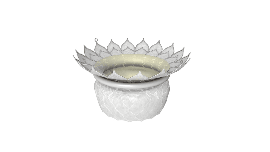 HighLife raises $90M to advance US pivotal trial for Mitral Valve System