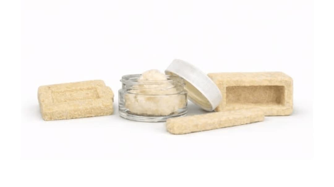 Xtant Medical launches Trivium Shaped allograft for surgeries