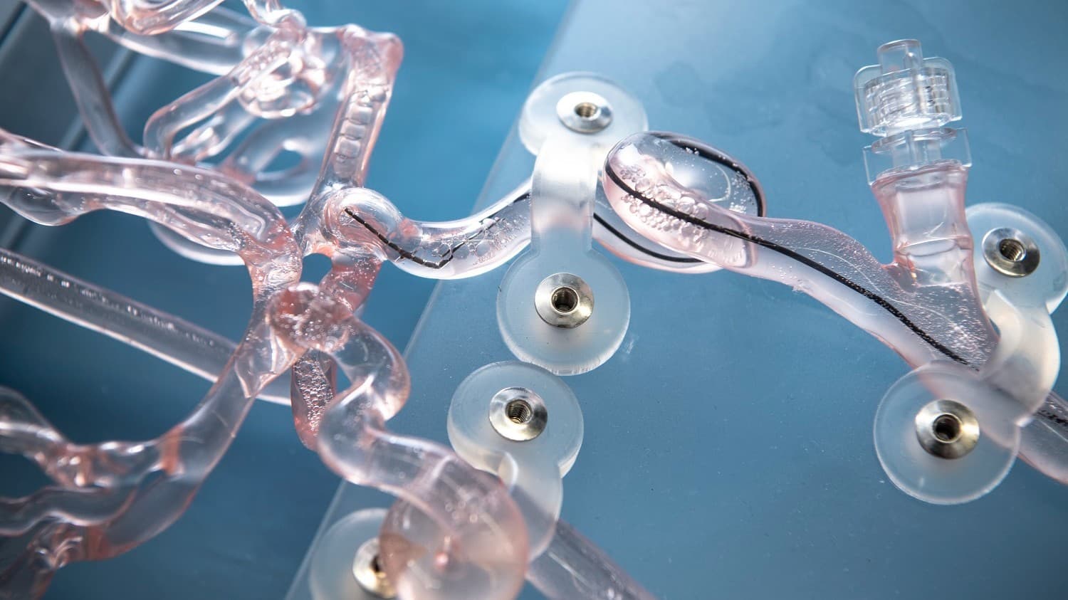 Nanoflex Robotics Awarded €12.5 Million from the EIC Accelerator
