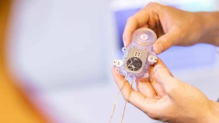 Ability Neurotech completes first-in-human brain-computer interface procedure