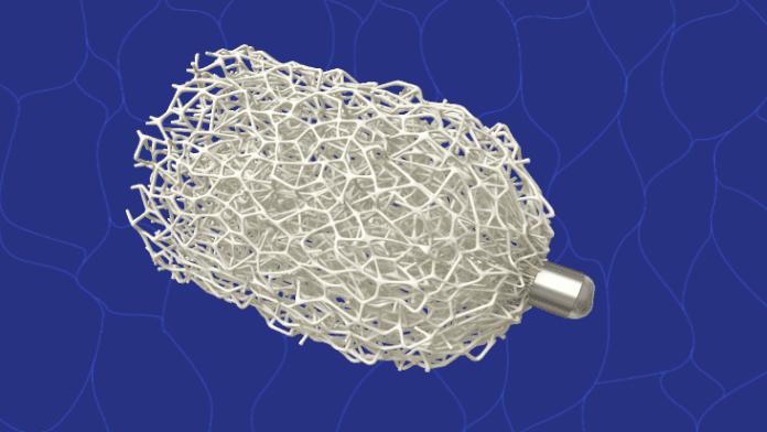 Shape Memory Medical raises $10M to advance aortic clinical trials