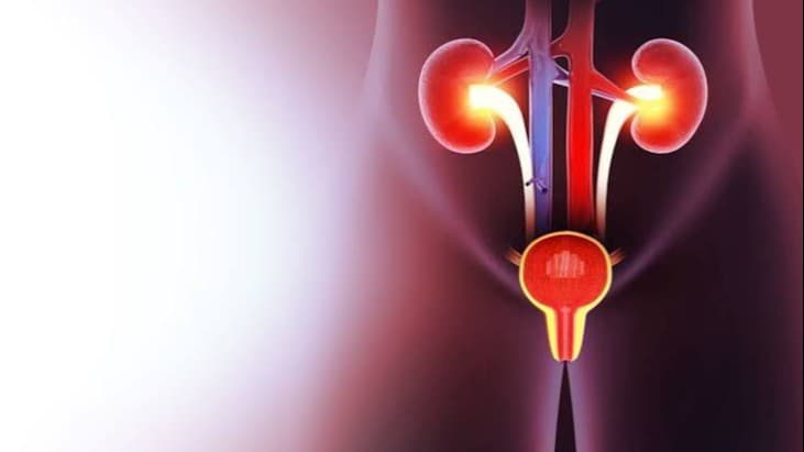 Olympus-backed MaxQ Medical raises $31.5M to advance prostate care platform
